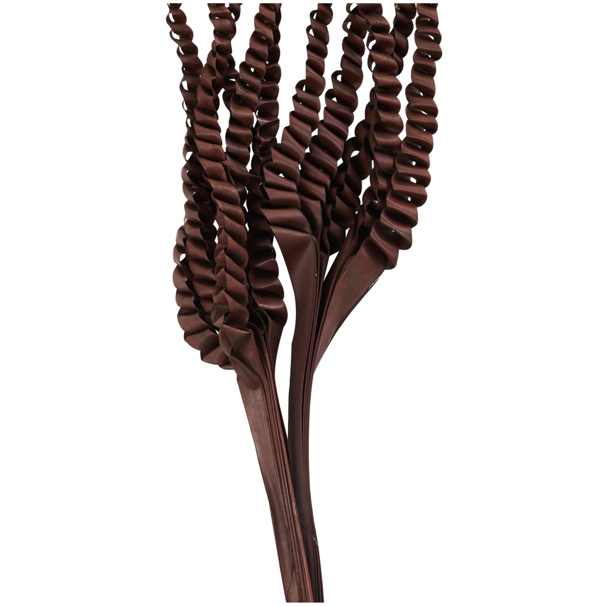30" Dark Brown Dried Plant Palm Leaf Natural Foliage